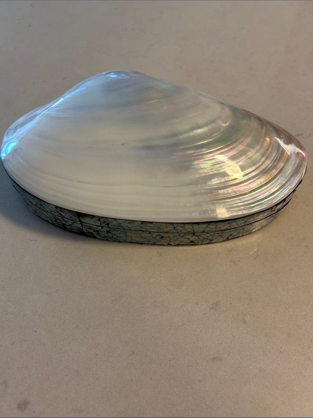 Shell-Inspired Decorative Trinket jewellery box in Pearl shade from St Maarten